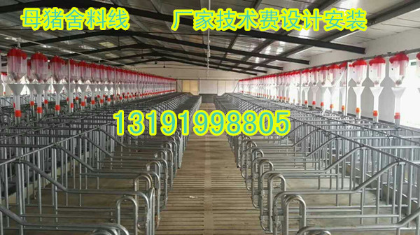 豬用料線配件