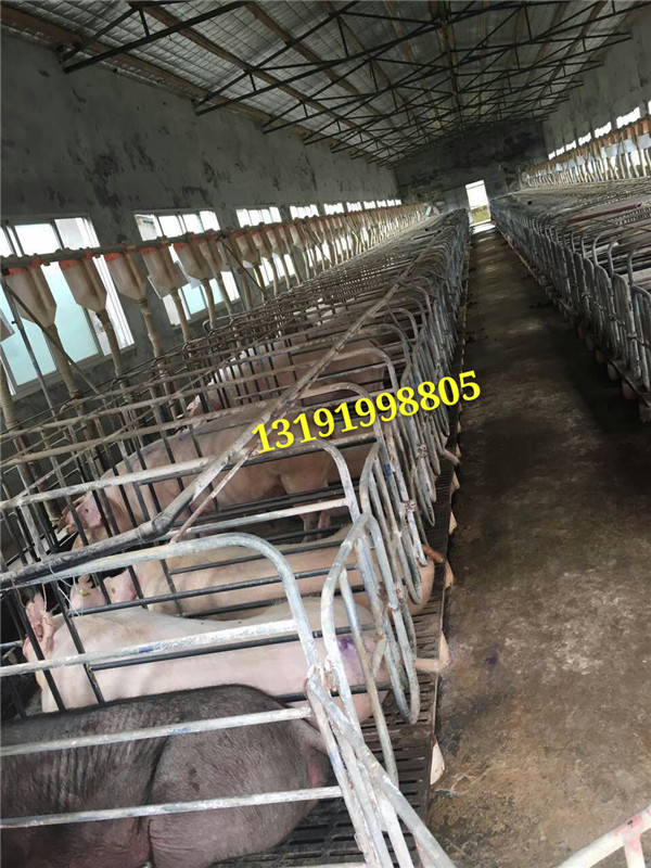 廠家直銷批發(fā)自動化設備下料系統(tǒng)
