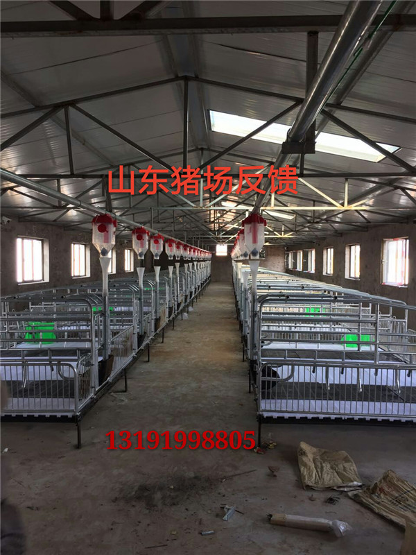自動化下料養(yǎng)殖系統(tǒng)料線設備
