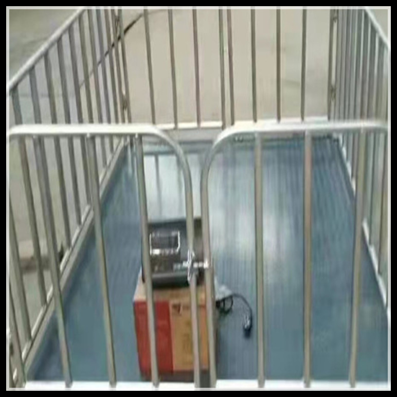 電子稱(chēng)豬地磅 小型電子秤